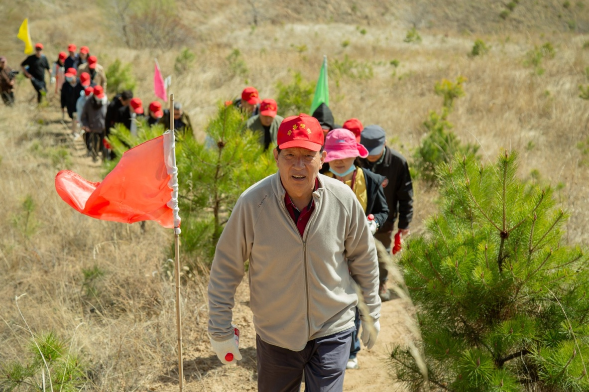 春风拂绿蔚州，14年坚守再添千株新松